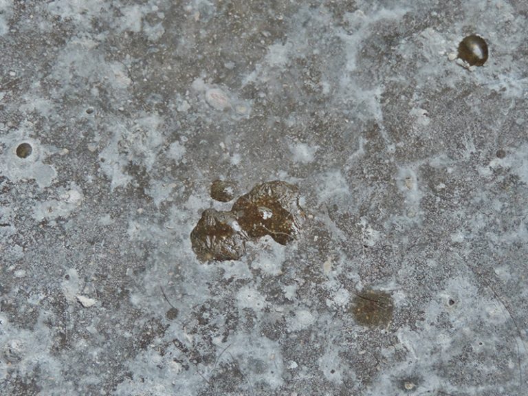 concrete surface sticky gel Carrasquillo Associates